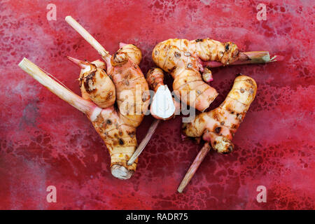 Galgant Wurzel von oben auf Rot konkreten Hintergrund. Kulinarischen asiatischen Kraut. Stockfoto