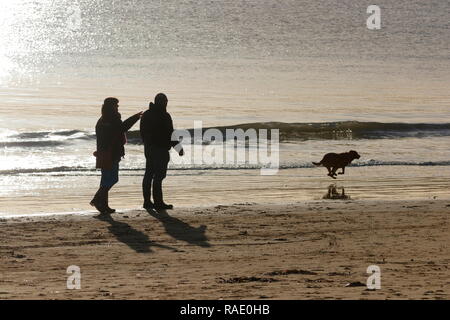 Silhouetten von ein paar Spielen mit Ihrem Hund auf einem Strand in Scarborough, North Yorkshire Stockfoto