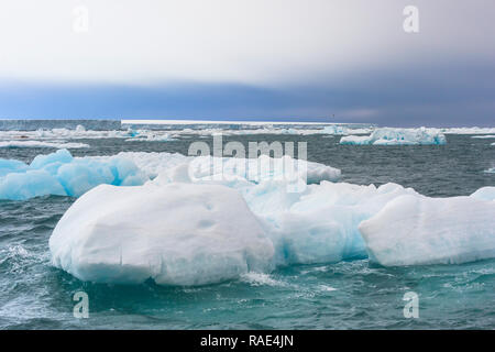 Eisberg in Hinlopen Strait, Spitzbergen, Svalbard, Arktis, Norwegen, Europa abdriften Stockfoto