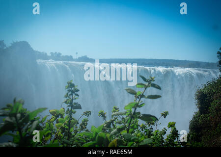 Majestätische Victoria Falls. Stockfoto