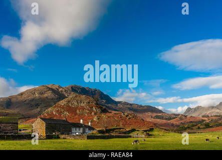 Fiel Fuß Farm, Hecht O'Blisco und die Langdale Pikes Cumbria Stockfoto