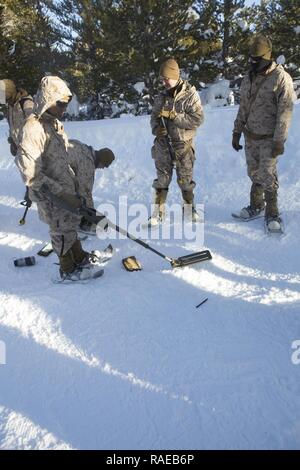 Mit einem Metalldetektor als Teil eines Zählers U.S. Marines mit 2Nd Battalion, 2nd Marine Regiment (2/2), praxis Improvised Explosive Device Class während eines einmonatigen Einsatz für die Ausbildung (DFT), im Marine Corps Mountain warfare Training Center (MCMWTC), Bridgeport, CA., Jan. 28, 2017. Die Marines der 2/2 nahmen an einen Monat lang DFT bei MCMWTC sie für die Herausforderungen der Betrieb bei kalter und bergigen Umgebung vorzubereiten. Stockfoto