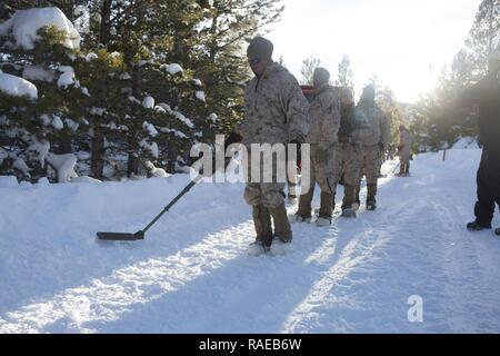 Mit einem Metalldetektor als Teil eines Zählers U.S. Marines mit 2Nd Battalion, 2nd Marine Regiment (2/2), praxis Improvised Explosive Device Class während eines einmonatigen Einsatz für die Ausbildung (DFT), im Marine Corps Mountain warfare Training Center (MCMWTC), Bridgeport, CA., Jan. 28, 2017. Die Marines der 2/2 nahmen an einen Monat lang DFT bei MCMWTC sie für die Herausforderungen der Betrieb bei kalter und bergigen Umgebung vorzubereiten. Stockfoto