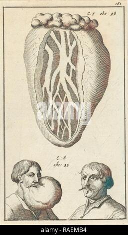 Anatomischer XIV, Jan Luyken, Jan Claesz zehn Hoorn, 1680 - 168. Neuerfundene durch Gibon. Klassische Kunst mit einem modernen Neuerfundene Stockfoto