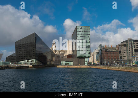 Blick über Canning Dock mit dem Royal Liver Building, Liverpool im Hintergrund Stockfoto