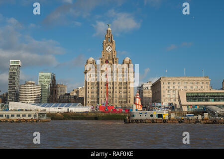 Blick auf das Royal Liver Building aus dem Fluss, Liverpool Stockfoto