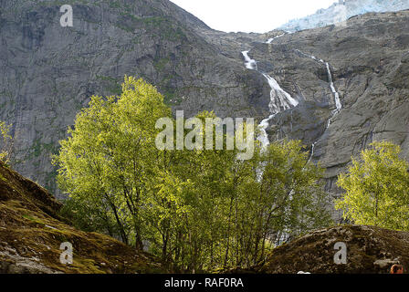 Bäume vor einem Wasserfall in der Nähe der Gletscher Briksdalsbreen (Olden, Norwegen). Stockfoto