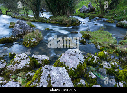 Geburt des Gándara Fluss, La Gándara, Soba Tal, Valles Pasiegos, Kantabrien, Spanien, Europa Stockfoto