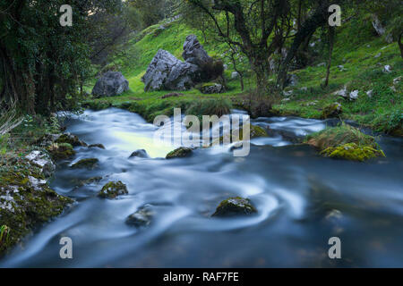 Geburt des Gándara Fluss, La Gándara, Soba Tal, Valles Pasiegos, Kantabrien, Spanien, Europa Stockfoto