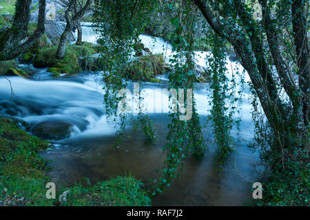 Geburt des Gándara Fluss, La Gándara, Soba Tal, Valles Pasiegos, Kantabrien, Spanien, Europa Stockfoto