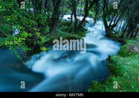 Geburt des Gándara Fluss, La Gándara, Soba Tal, Valles Pasiegos, Kantabrien, Spanien, Europa Stockfoto