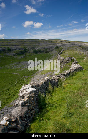 Wand an Diebe Moos an der Spitze des Clapdale in den Yorkshire Dales Stockfoto