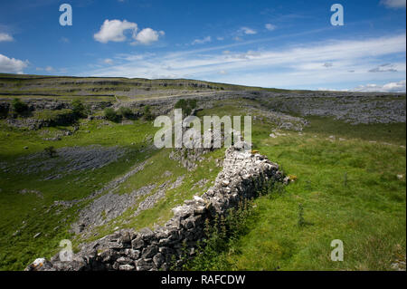 Wand an Diebe Moos an der Spitze des Clapdale in den Yorkshire Dales Stockfoto