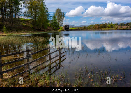 Weisen Een Tarn auf colthouse Höhen in der Nähe von Far Sawrey in Cumbria Stockfoto