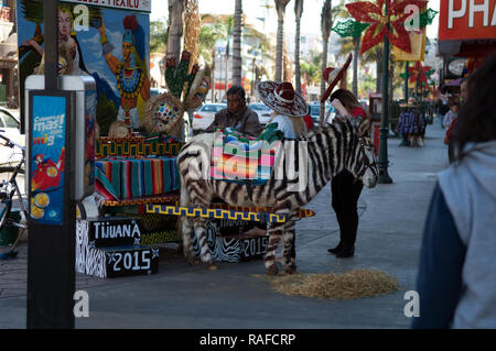 Eine gemalte Tijuana Donkey, Tijuana, Mexiko Stockfoto