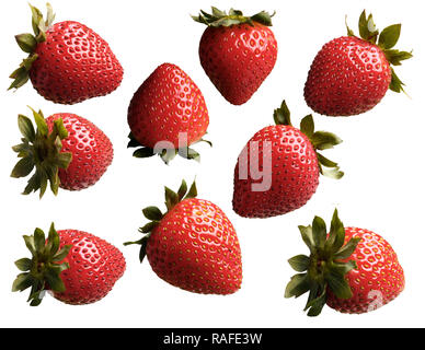 reife Erdbeeren Stockfoto