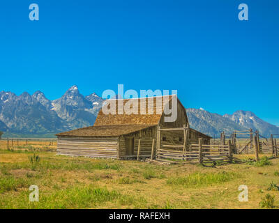 Molton Scheune in Antelope Flats im Grand Teton National Park, Wyoming, USA. Beliebte Sehenswürdigkeiten im Nationalpark. Nordamerika reisen in der Sommersaison. Blauer Himmel mit kopieren. Stockfoto