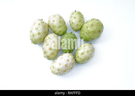 Noni Morinda citrifolia oder Obst auf weißem Hintergrund Stockfoto