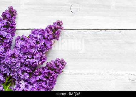 Flach top anzeigen Foto der Feder lila Blumen lila Blumen Blumenstrauß auf weißem Hintergrund. Ansicht von oben mit der Kopie Raum Stockfoto