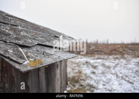 Weinkeller Weinberg Stockfoto