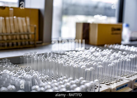 Leere Glas Reagenzgläser im Ständer Stockfoto