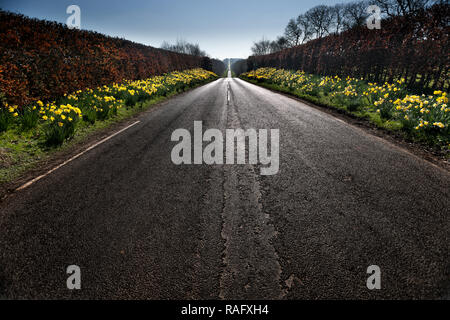 Wüst kurvenreichen Straßen mit Schnee und Eis in die Ferne verschwindenden verlassen Stockfoto