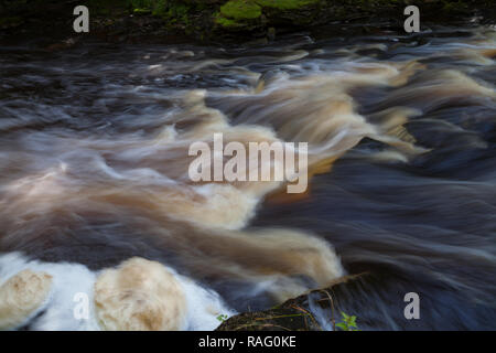 Kaskaden auf dem Fluss shoy mit einer langen Belichtungszeit. Wald nass Stimmung in Estland. Stockfoto