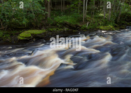 Kaskaden auf dem Fluss shoy mit einer langen Belichtungszeit. Wald nass Stimmung in Estland. Stockfoto