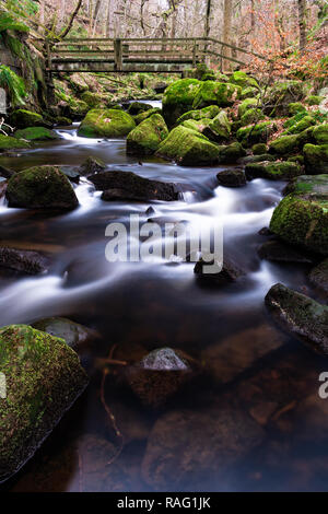 Holzsteg an padley George, Burbage Bach, Nationalpark Peak District, Derbyshire, Enagland, Großbritannien, Europa Stockfoto