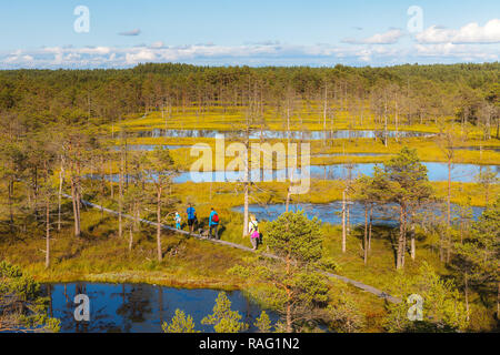 Viru Raba ist berühmt Estnische Sumpfland und Naturpark mit Holz- Wanderwege und Turm. Helle Farben des Herbstes. Stockfoto