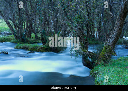 Geburt des Gándara Fluss, La Gándara, Soba Tal, Valles Pasiegos, Kantabrien, Spanien, Europa Stockfoto