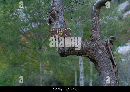 Geburt des Gándara Fluss, La Gándara, Soba Tal, Valles Pasiegos, Kantabrien, Spanien, Europa Stockfoto