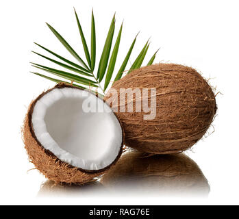 Frische Kokosnuss in der Hälfte mit Blättern auf weißem Hintergrund gebrochen Stockfoto