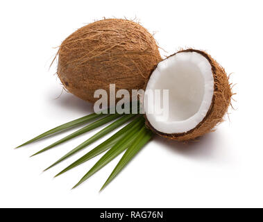 Frische Kokosnuss in der Hälfte mit Blättern auf weißem Hintergrund gebrochen Stockfoto