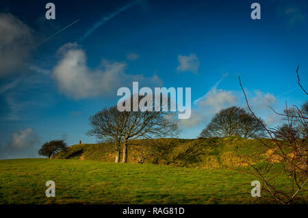 Ein Bügeleisen Alter Kreuz Deich am Deich des Teufels, East Sussex, Großbritannien Stockfoto
