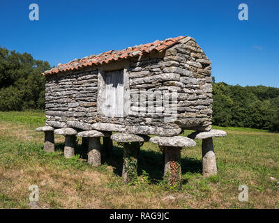Ein Stein hórreo granery (span.) bei Torres de Allo, einer Feudalen Residenz des niederen Adels in Allo, Zas, La Coruna, Galicien, Spanien