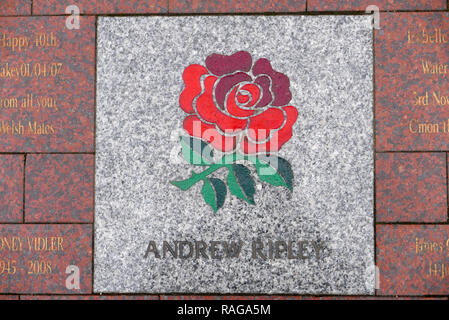 Player Pflaster Steine, [Andrew (Andy) RIPLEY} Twickenham Stadium, Twickenham, London Borough von Richmond upon Thames, Freitag, 16.10.2015. [Pflichtfeld Kredit. Peter Spurrier/Intersport Bilder] Stockfoto