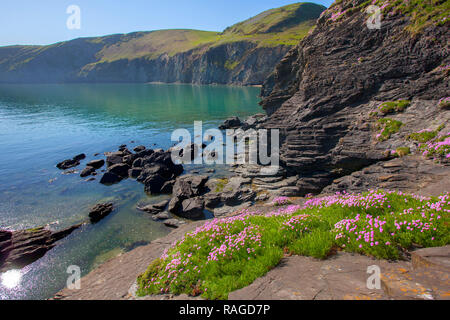 Blick entlang der walisischen Küste von ynys Lochtyn, Ceredigion, West Wales Stockfoto