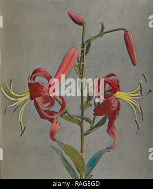 Lily, Kazumasa Ogawa (Japanisch, 1860-1929), Yokohama, Japan, 1896, von Hand gefärbt Lichtdruck, 26,5 x 22,7 cm (10 7,16 Neuerfundene Stockfoto