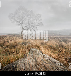 Bild wurde an einem nebligen Morgen im Lawrence Feld in der Nähe von Hathersage im Peak District, England. Stockfoto