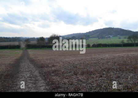 Die Darent Tal Weg. Abschnitt zwischen Shoreham und Eynsford in der Nähe von Lullingstone Castle Farm und Country Park, im Winter. Stockfoto