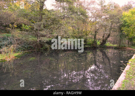 Die ram-Pumpe Teich von Emmetts Garden ist unterhalb der Garten in Scords Holz in der Nähe von IDE-Hügel. Es liefert Wasser für die National Trust nur mittels Schwerkraft site Stockfoto