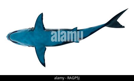 Abbildung: einen großen weißen Hai. Stockfoto