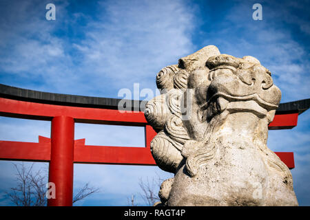 Blauer Himmel hinter einer Löwe stand sie vor einem Tor (torii) in der Nähe der japanischen Küste. Stockfoto