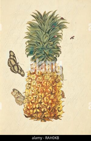 Ananas (Ananas comosus) mit Metamorphose von Bambus Seite (Philaethria Dido) und zweimal - Erstochen Lady Bird Käfer (Neuerfundene Stockfoto