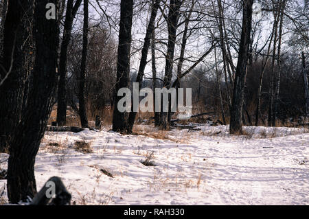 Calgary winter Szenen in städtischen Parks Stockfoto