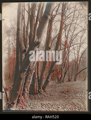 Der Park von Saint-Cloud, Eugène Atget (Französisch, 1857 - 1927), Paris, Frankreich, 1926, Eiweiß Silber drucken Neuerfundene Stockfoto