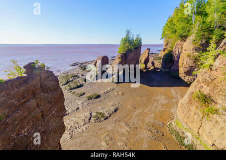 Anzeigen von Hopewell Felsen bei Ebbe, New Brunswick, Kanada Stockfoto