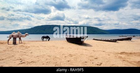 Weiß baktrischen Kamel (Camelus bactrianus), Pferd und Boot am Ufer der Angara, Abwicklung von Talzy, Irkutsk, Baikalsee Stockfoto