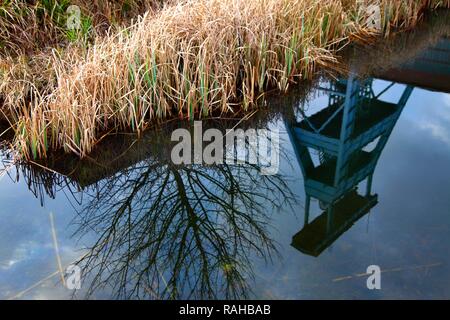 Zeche Ewald, stillgelegtes Bergwerk, Doppelbock Welle fördergerüst von Schacht 7 im Wasser spiegelt, Herten, Nordrhein-Westfalen Stockfoto